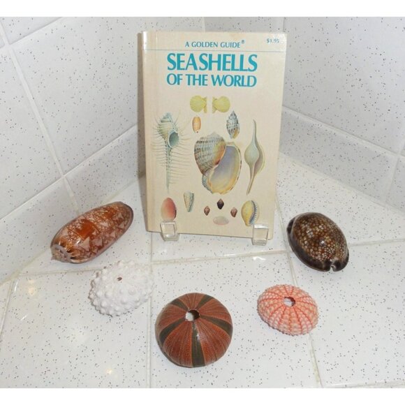 Vintage Seashells of the World Book 1962 A Golden Guide clear Lucite book stand - Picture 1 of 16